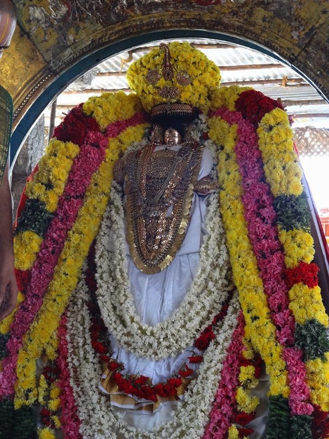 Thiruvahindrapuram Swami Desikan Thirunakshatra Utsavam day 3 Surya Prabhai-2015-04