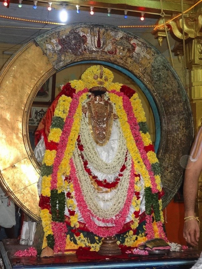 Thiruvahindrapuram Swami Desikan Thirunakshatra Utsavam day 3 Surya Prabhai-2015-06
