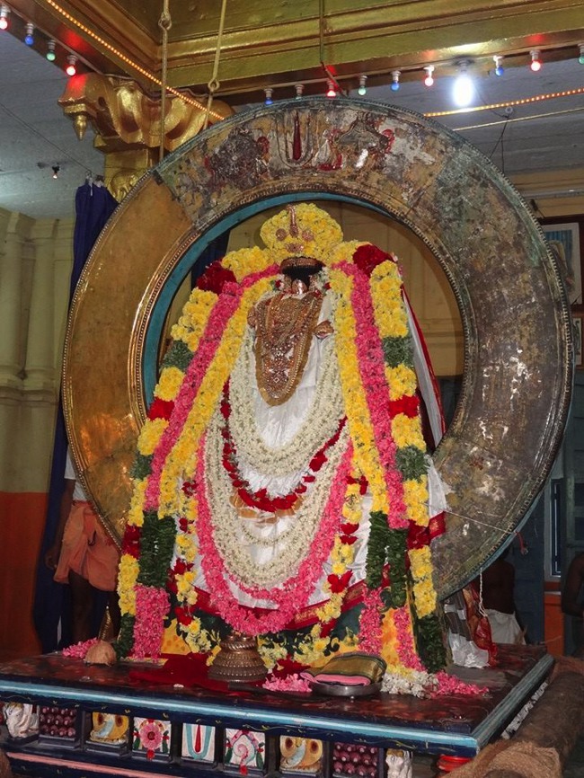 Thiruvahindrapuram Swami Desikan Thirunakshatra Utsavam day 3 Surya Prabhai-2015-07