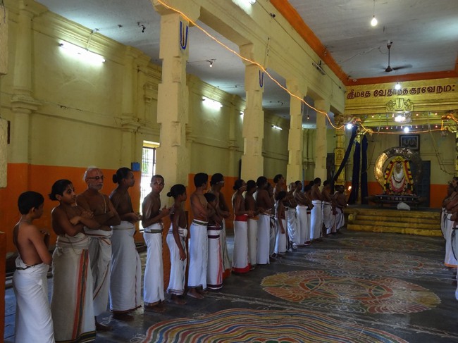 Thiruvahindrapuram Swami Desikan Thirunakshatra Utsavam day 3 Surya Prabhai-2015-10