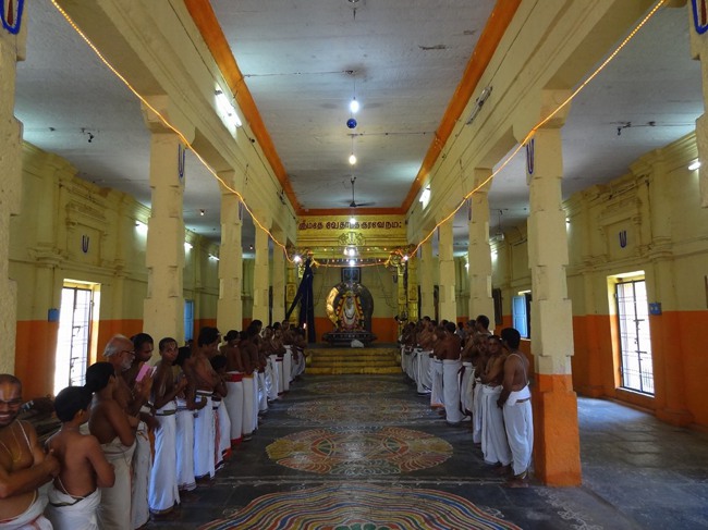 Thiruvahindrapuram Swami Desikan Thirunakshatra Utsavam day 3 Surya Prabhai-2015-11