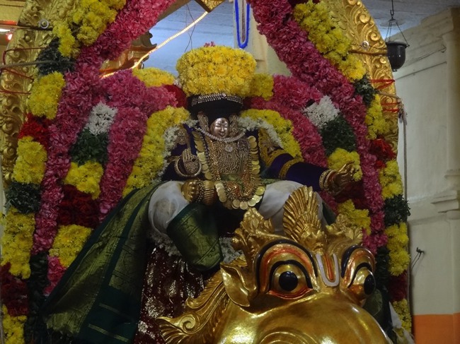 Thiruvahindrapuram Swami Desikan Thirunakshatra Utsavam day 3 Yali vahanam-2015-03