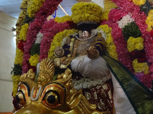 Thiruvahindrapuram Swami Desikan Thirunakshatra Utsavam day 3 Yali vahanam-2015-04