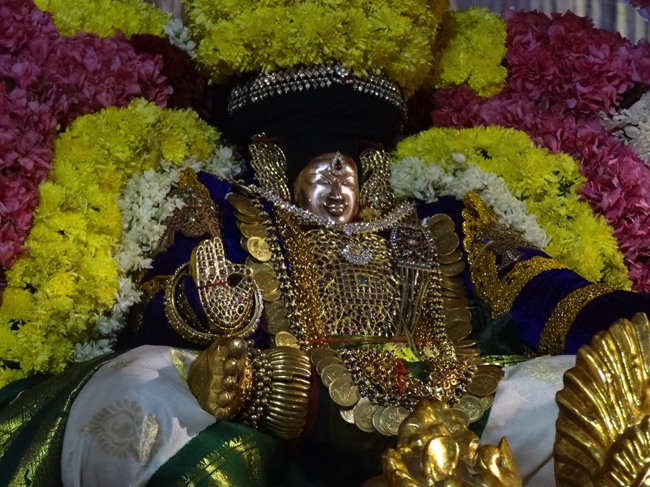 Thiruvahindrapuram Swami Desikan Thirunakshatra Utsavam day 3 Yali vahanam-2015-14