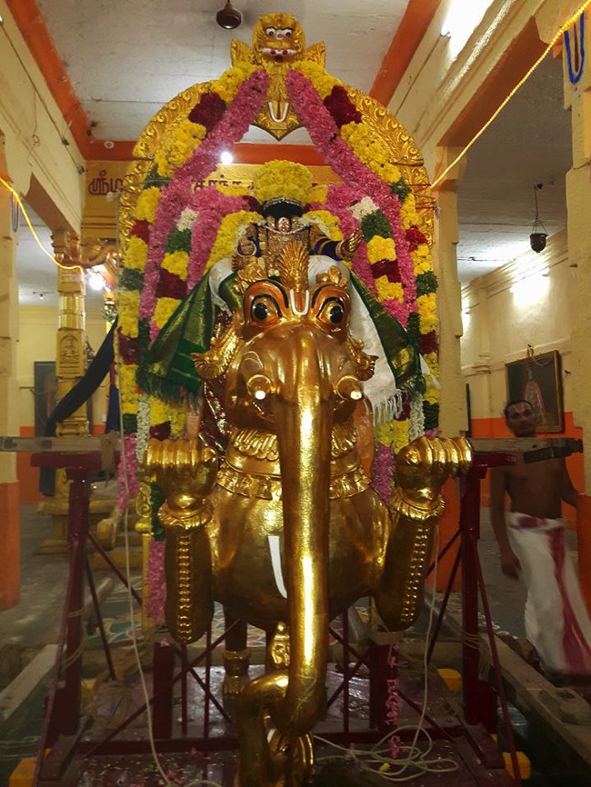 Thiruvahindrapuram Swami Desikan Thirunakshatra Utsavam day 3 Yali vahanam-2015-19