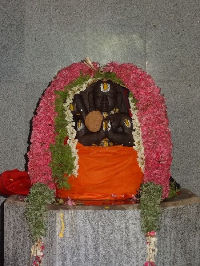 Thiruvahindrapuram Swami Thirunakshatra Utsavam 2015 2