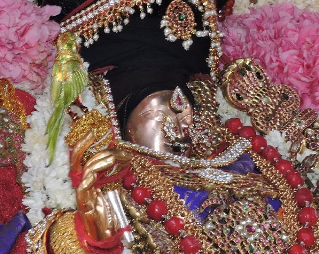 Thiruvahindrapuram Swami desikan Thirunakshatra Utsavam day 5 Nachiyar Thirukolam  2015 08