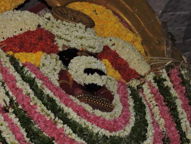 Thiruvahindrapuram Swami desikan Thirunakshatra Utsavam day 5 Simha vahanam 2015 01
