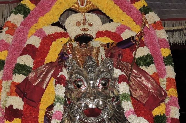 Thiruvahindrapuram Swami desikan Thirunakshatra Utsavam day 5 Simha vahanam 2015 08