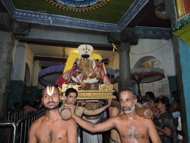 Thiruvahindrapuram Swami desikan Thirunakshatra Utsavam day 5 Simha vahanam 2015 14