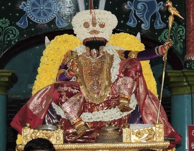 Thiruvahindrapuram Swami desikan Thirunakshatra Utsavam day 5 Simha vahanam 2015 16