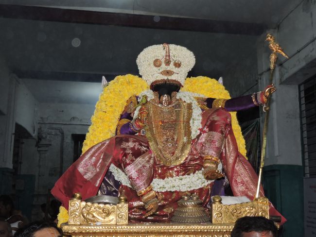 Thiruvahindrapuram Swami desikan Thirunakshatra Utsavam day 5 Simha vahanam 2015 19