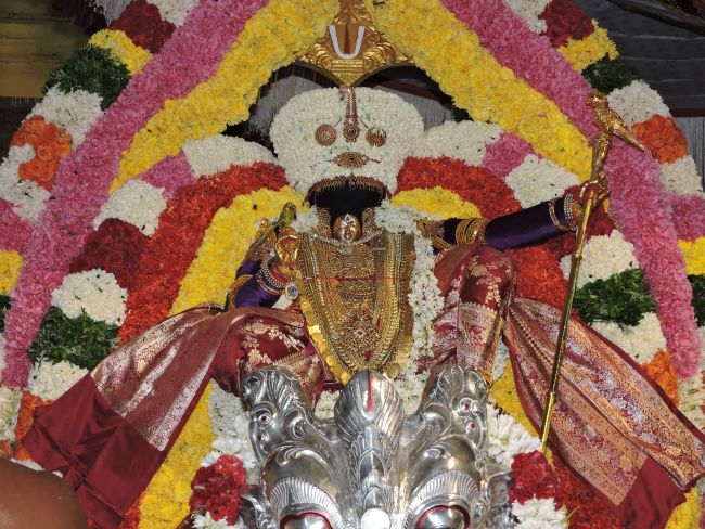 Thiruvahindrapuram Swami desikan Thirunakshatra Utsavam day 5 Simha vahanam 2015 24