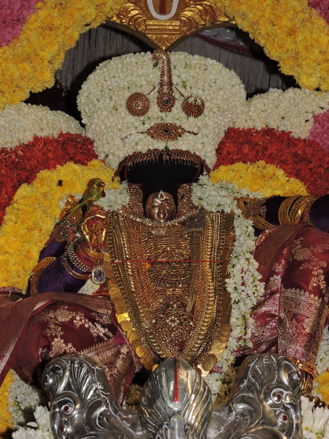 Thiruvahindrapuram Swami desikan Thirunakshatra Utsavam day 5 Simha vahanam 2015 25