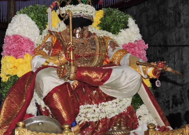 Thiruvahindrapuram Swami desikan Thirunakshatra Utsavam day 5 yANI vahanam 2015 03