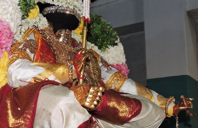 Thiruvahindrapuram Swami desikan Thirunakshatra Utsavam day 5 yANI vahanam 2015 09