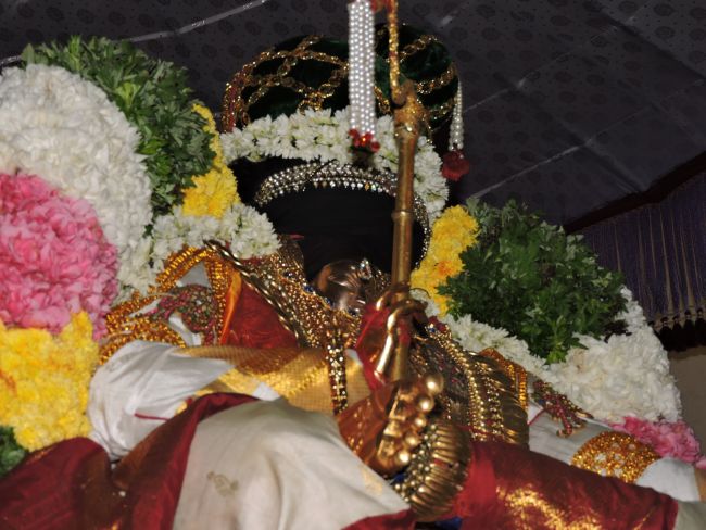 Thiruvahindrapuram Swami desikan Thirunakshatra Utsavam day 5 yANI vahanam 2015 14