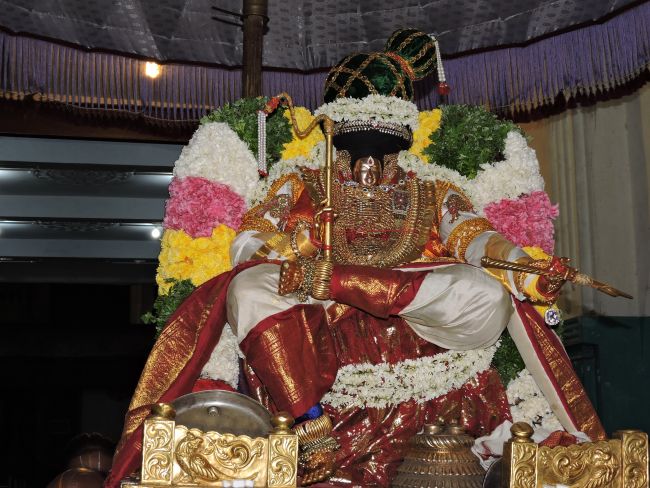 Thiruvahindrapuram Swami desikan Thirunakshatra Utsavam day 5 yANI vahanam 2015 16