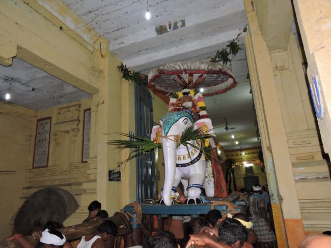 Thiruvahindrapuram Swami desikan Thirunakshatra Utsavam day 5 yANI vahanam 2015 33