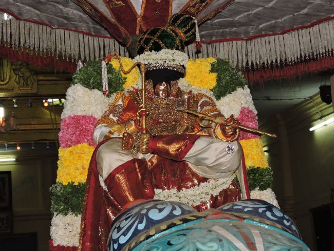 Thiruvahindrapuram Swami desikan Thirunakshatra Utsavam day 5 yANI vahanam 2015 38