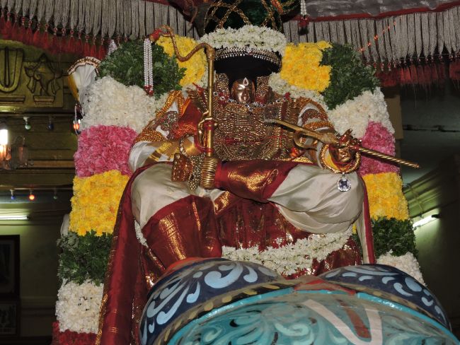 Thiruvahindrapuram Swami desikan Thirunakshatra Utsavam day 5 yANI vahanam 2015 39