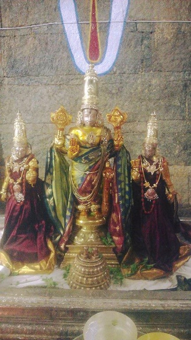 Thiruvallur Sri Veeraraghava Perumal Temple Manmadha Varusha ThiruPavithrotsavam1