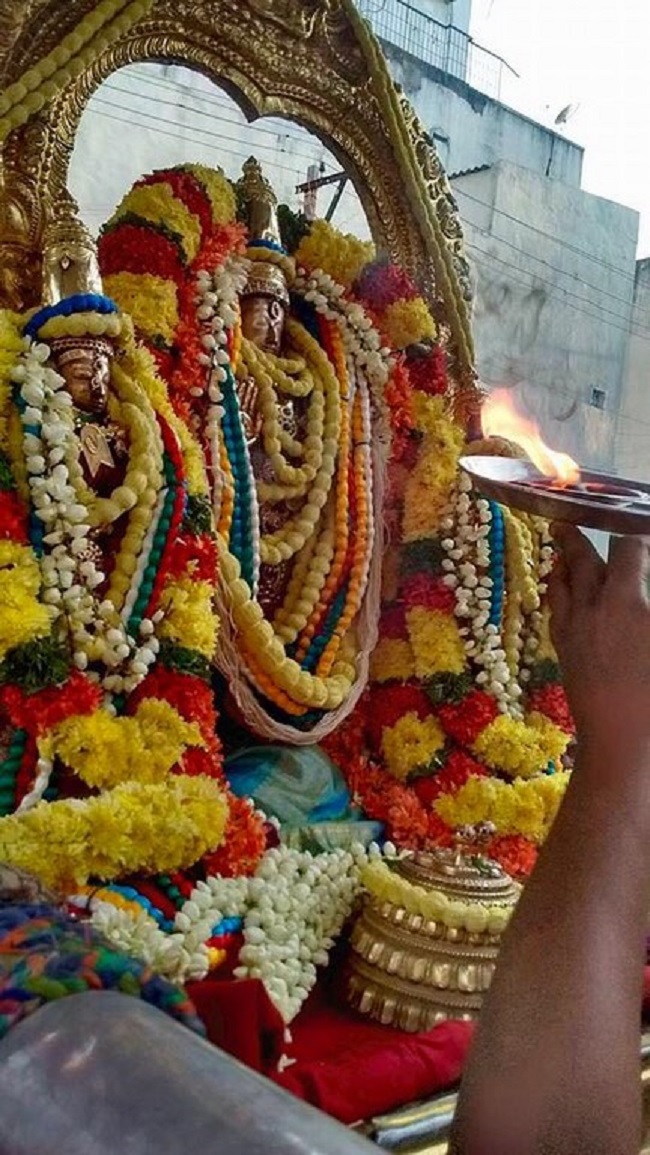 Thiruvallur Sri Veeraraghava Perumal Temple Manmadha Varusha ThiruPavithrotsavam13