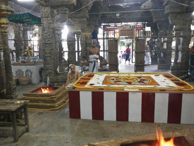 Thiruvallur Sri Veeraraghava Perumal Temple Manmadha Varusha ThiruPavithrotsavam17