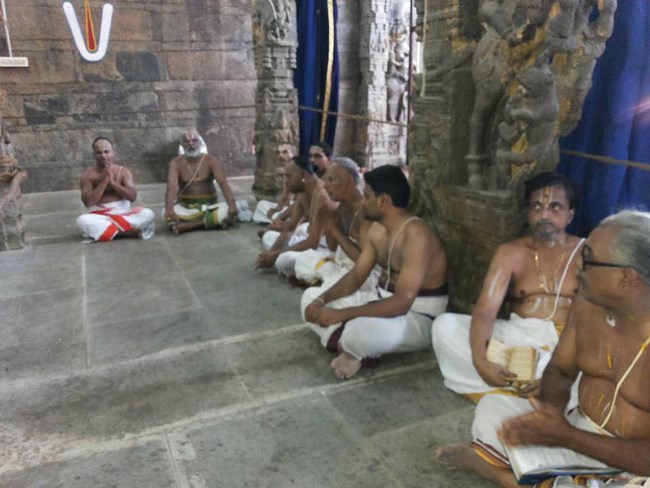 Thiruvallur Sri Veeraraghava Perumal Temple Manmadha Varusha ThiruPavithrotsavam20