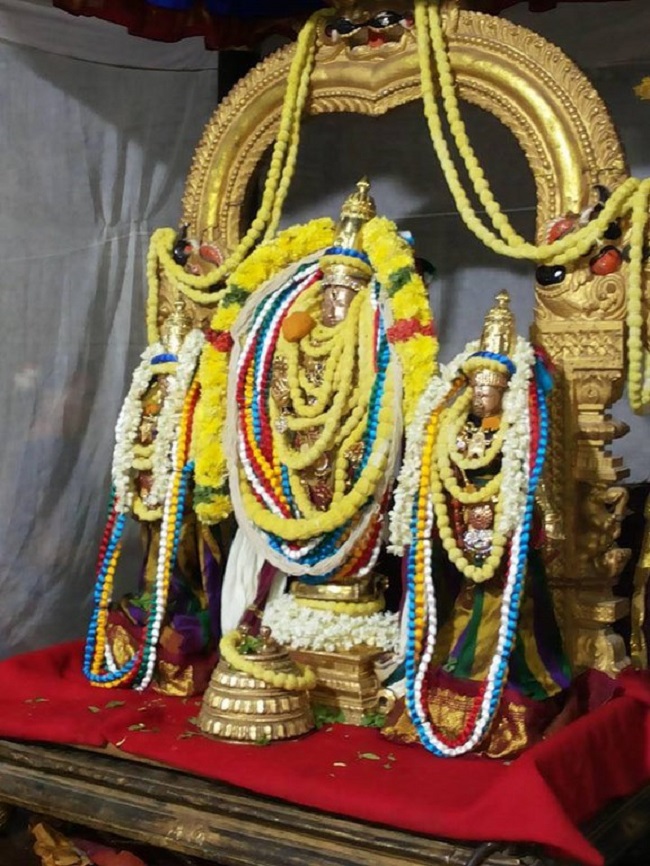 Thiruvallur Sri Veeraraghava Perumal Temple Manmadha Varusha ThiruPavithrotsavam22