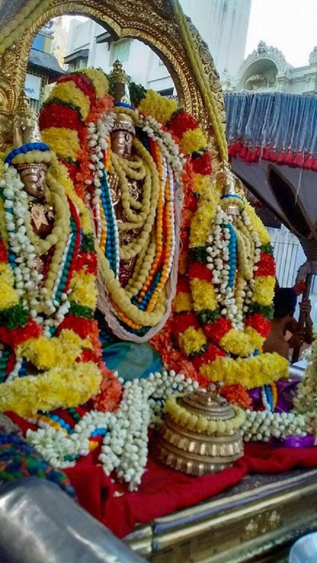 Thiruvallur Sri Veeraraghava Perumal Temple Manmadha Varusha ThiruPavithrotsavam3