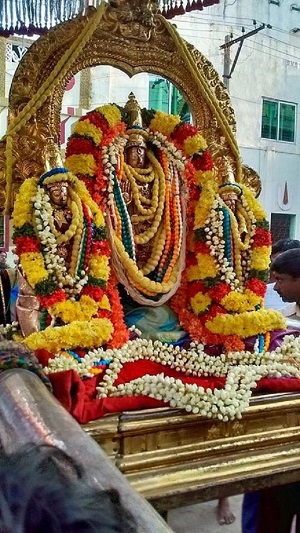 Thiruvallur Sri Veeraraghava Perumal Temple Manmadha Varusha ThiruPavithrotsavam4