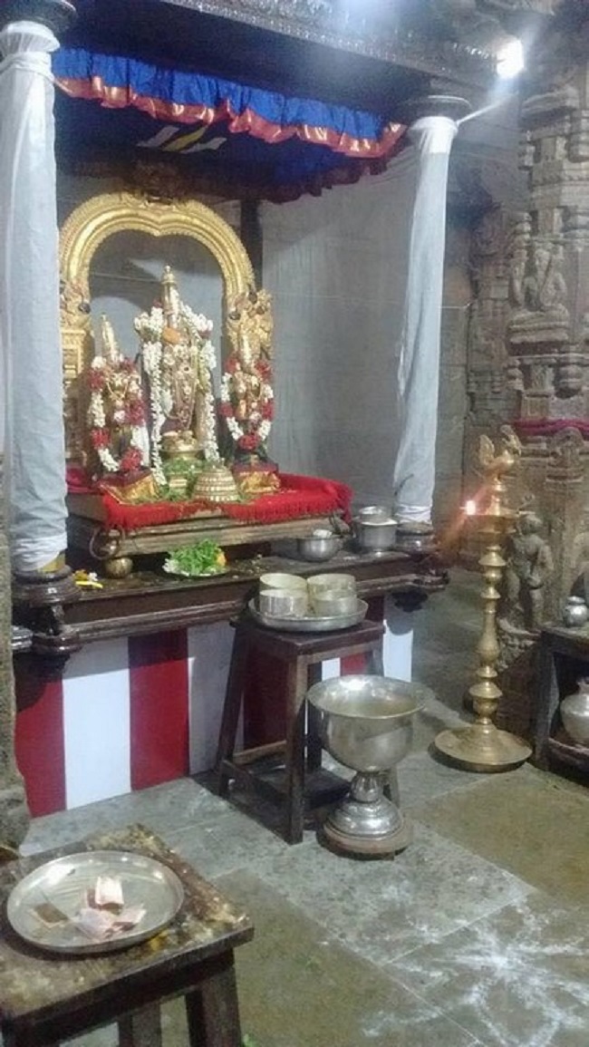 Thiruvallur Sri Veeraraghava Perumal Temple Manmadha Varusha ThiruPavithrotsavam5