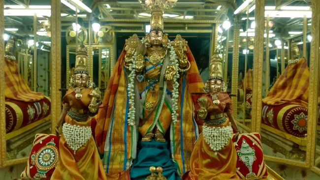 Thiruvelukkai Azhagiya SIngaperumal Temple Avani Swathi 2015 02