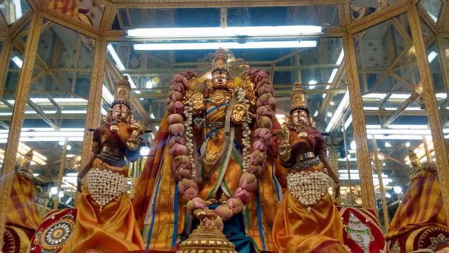 Thiruvelukkai Azhagiya SIngaperumal Temple Avani Swathi 2015 31