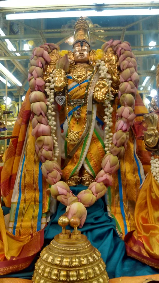 Thiruvelukkai Azhagiya SIngaperumal Temple Avani Swathi 2015 34