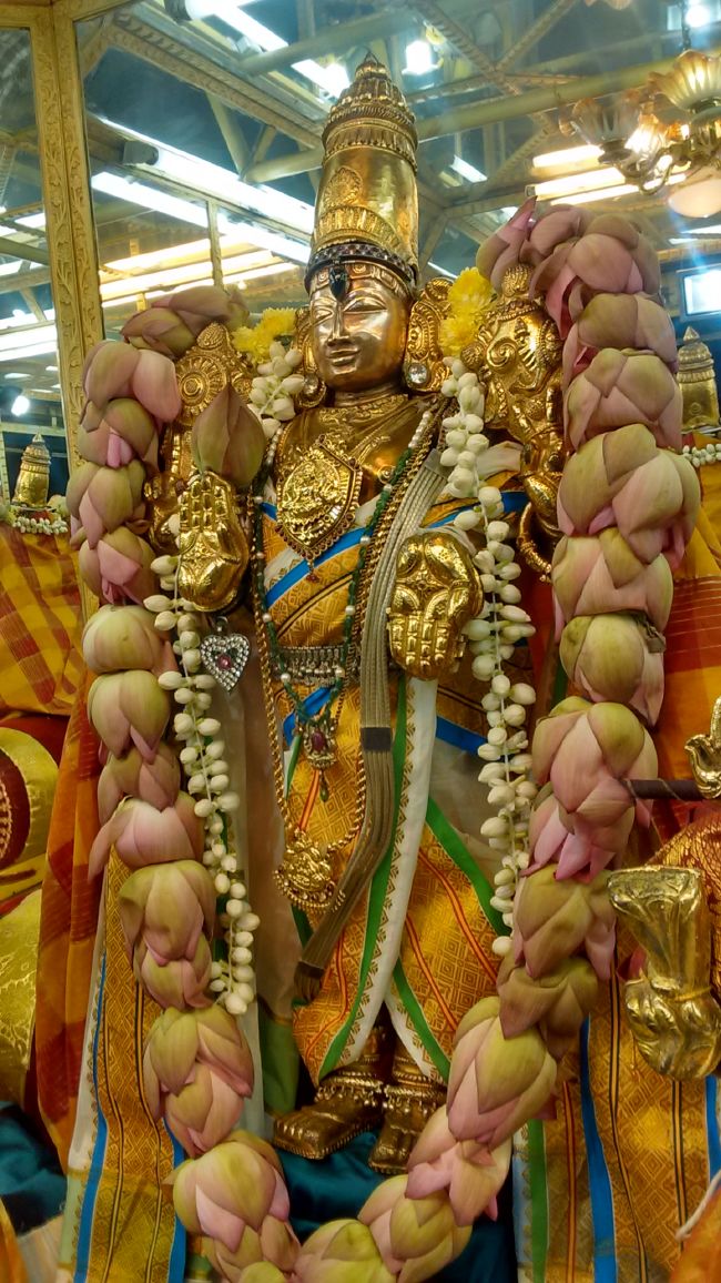 Thiruvelukkai Azhagiya SIngaperumal Temple Avani Swathi 2015 35