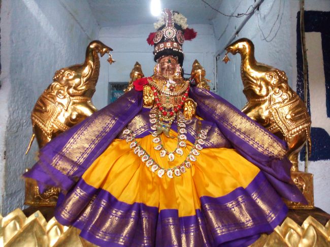 Thiruvelukkai Sri Amruthavalli thayar Varalakshmi viradham -2015 02