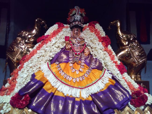 Thiruvelukkai Sri Amruthavalli thayar Varalakshmi viradham -2015 05