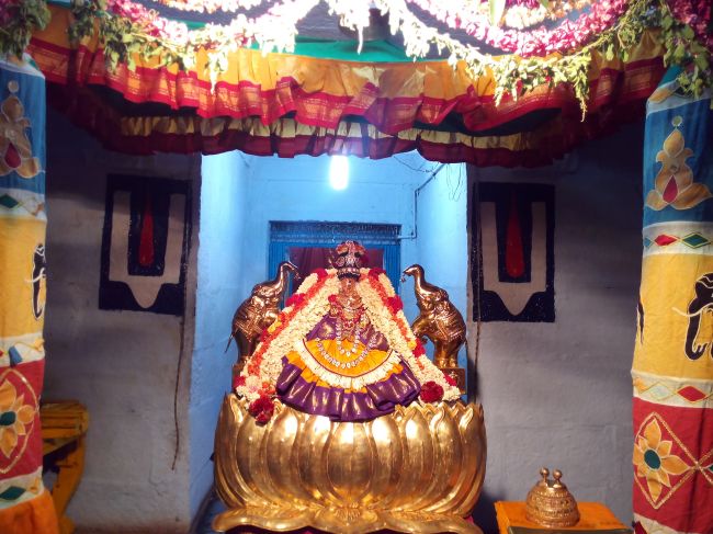 Thiruvelukkai Sri Amruthavalli thayar Varalakshmi viradham -2015 09
