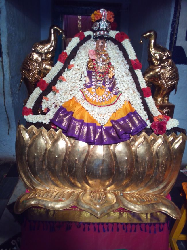 Thiruvelukkai Sri Amruthavalli thayar Varalakshmi viradham -2015 14