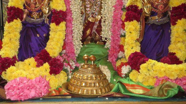 Thiruvelukkai Sri Azhagiya Singaperumal  Temple Uriyadi Purappadu -2015 06