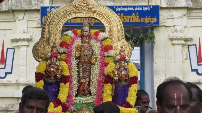 Thiruvelukkai Sri Azhagiya Singaperumal  Temple Uriyadi Purappadu -2015 11