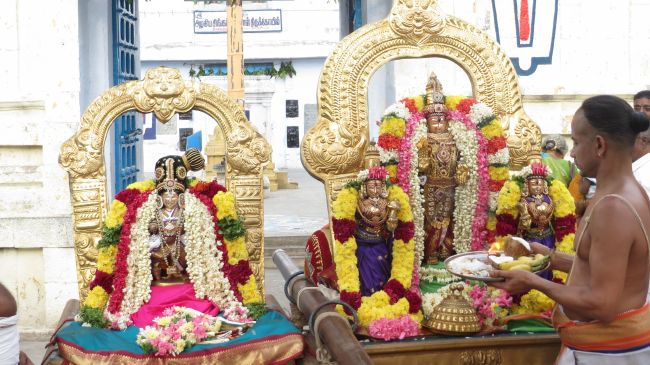 Thiruvelukkai Sri Azhagiya Singaperumal  Temple Uriyadi Purappadu -2015 16