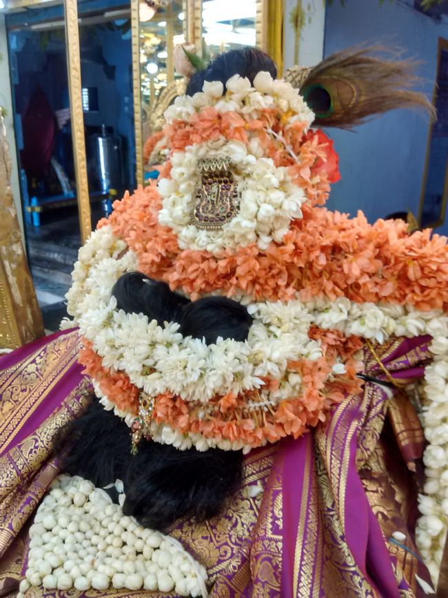 Thiruvelukkai Sri Azhagiya singaperumal kovil Sri Jayanthi Utsavam -2015 06