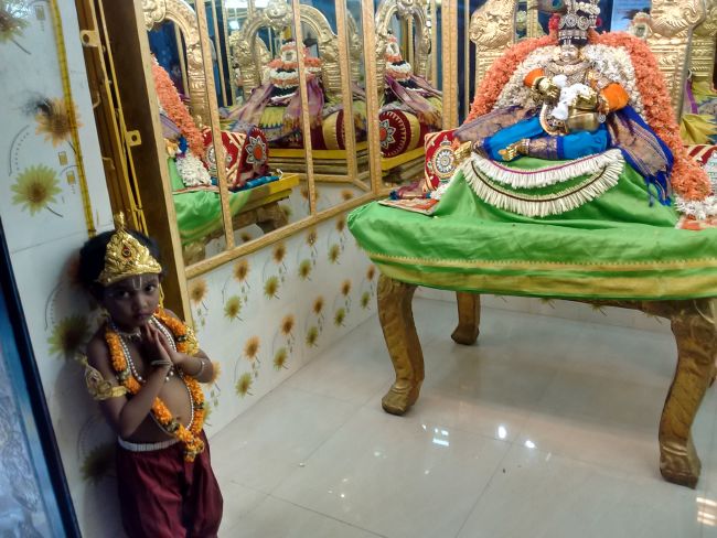 Thiruvelukkai Sri Azhagiya singaperumal kovil Sri Jayanthi Utsavam -2015 07