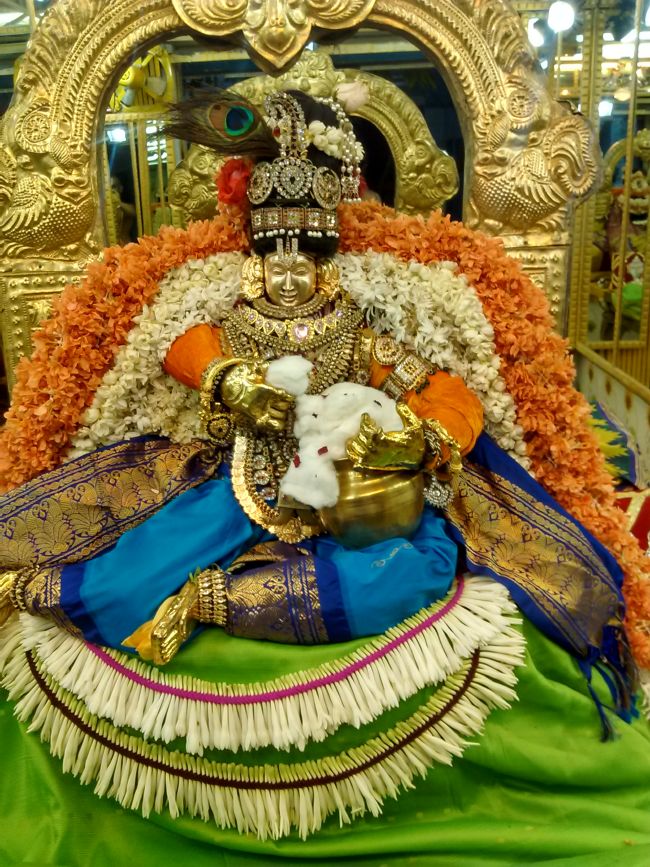 Thiruvelukkai Sri Azhagiya singaperumal kovil Sri Jayanthi Utsavam -2015 08