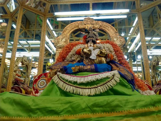 Thiruvelukkai Sri Azhagiya singaperumal kovil Sri Jayanthi Utsavam -2015 10