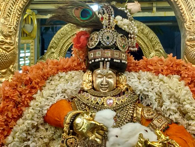 Thiruvelukkai Sri Azhagiya singaperumal kovil Sri Jayanthi Utsavam -2015 12
