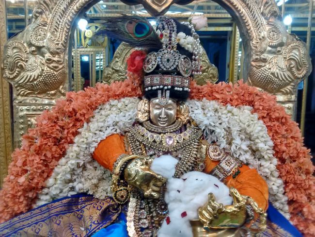 Thiruvelukkai Sri Azhagiya singaperumal kovil Sri Jayanthi Utsavam -2015 13